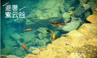 爆款【广东小九寨】媲美九寨沟的天堂,探索千年紫云谷,行摄最美山水,打卡广东天空之境