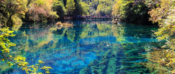 【2026春节】成都九寨沟、黄龙、乐山大佛、峨嵋山7天