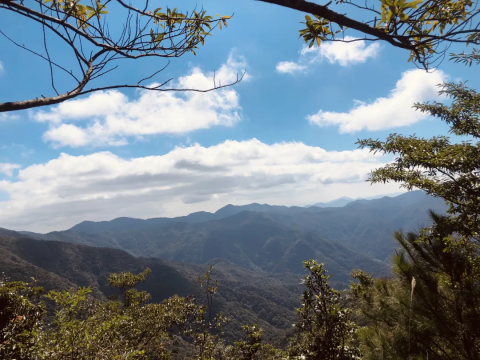 【挑战天堂顶18公里】徒步穿越影村-广州最高峰:天堂顶(1210米)环线1天户外活动