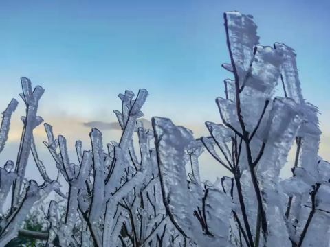 【冰雪金子山】离广州最近的赏冰挂雾凇圣地；挑战80度天梯；打卡广东最高玻璃桥1天