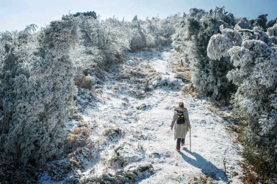 【雪色衡山】雾凇来了!赏醉美冬日南岳衡山,新年登祝融峰顶祈福许愿-