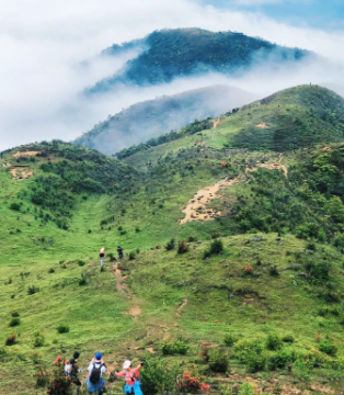 【高山杜鹃·天露山】 天露山万亩高山杜鹃惊艳绽放!一起欣赏漫山遍野红杜鹃花!
