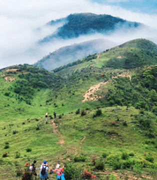 【高山杜鹃·天露山】 天露山万亩高山杜鹃惊艳绽放！一起欣赏漫山遍野红杜鹃花！