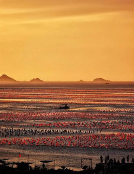 【潮州古城&东山岛3日游】逛潮州古城，寻味潮汕小吃，打卡网红南门湾，游《左耳》知名电影取景地，苏峰山环岛公路拍美照