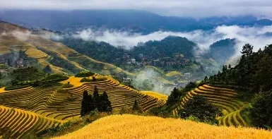 【2026 五一】龙脊梯田、阳朔风光4天高铁游-