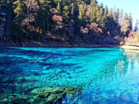 【2026春节】成都过大年、九寨沟、黄龙6天