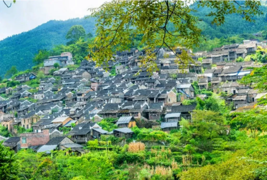 【湘粤联游3天】莽山五指峰+欧家梯田+油岭瑶寨+篝火长桌宴+万山朝王