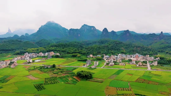 【徒步阅丹】 这条世界级的旅游公路真是美翻了,睹尽丹山碧水,田园风光