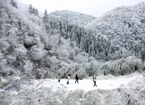 【云冰山+瑶族博物馆+爱情小镇】一次打卡三个宝藏地，邂逅广东“雪乡”雾凇冰挂、探访瑶族博物馆，体验粤、桂、湘交界“小丽江”-