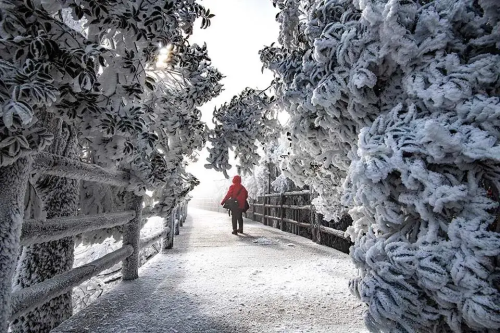 【冰雪莽山2天】 漫步悬空栈道、观莽山云海冰挂雾凇、行摄最美丹霞公路马皇丘大峡谷/高椅岭、夜游裕后街