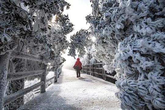 【冰雪莽山2天】 漫步悬空栈道、观莽山云海冰挂雾凇、行摄最美丹霞公路马皇丘大峡谷/高椅岭、夜游裕后街-