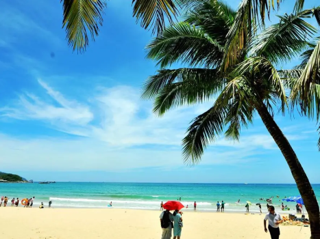 【2026春节】海南三亚过年5天  大巴团