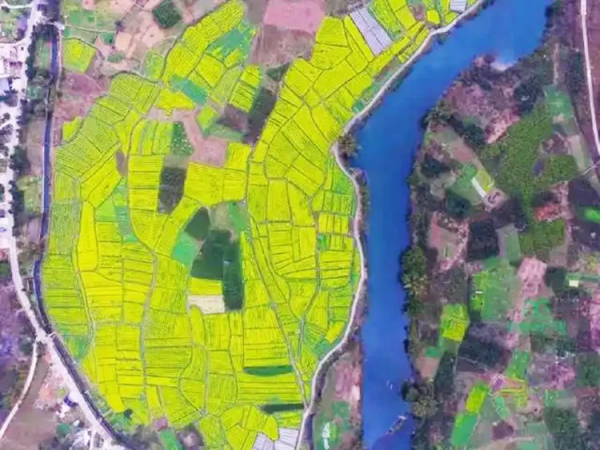 【花季阳朔2天】骑行遇龙河赏油菜花海，体验手撑竹筏游，徒步漓江精华段，西街艳遇