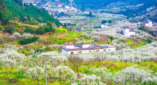 【丹霞山九峰2天】 相约广东醉美春天，探寻九峰花海，游览世界遗产赤壁丹霞山！
