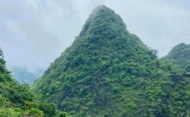 千年古道【寻迹秦汉古道】休闲徒步探秘阳山千年古道 带你穿越千年历史印记-