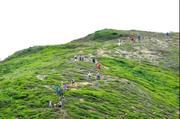 惠州最美海岸线【黑排角1天】 | 翻越山丘，攀礁石，漫步沙滩，遇见情人岛、徒步穿越惠东最美海岸线-