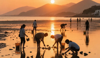 【惠州“小塞班”】秘境盐洲岛+海螺湾：入住海景房、旅拍彩石滩+西虎岛赶海、快艇登海螺湾&浮潜&桨板、扬帆出海+磨子石公园2天-