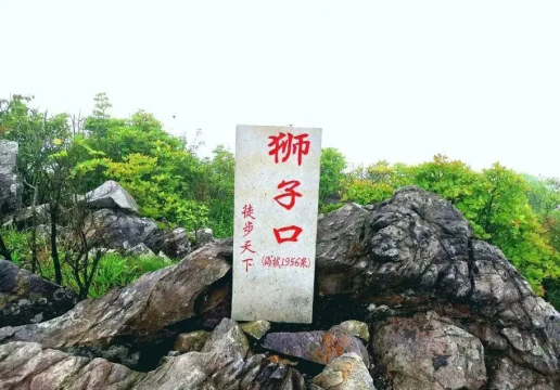 特种兵【狮子口-1天1夜】天鹅塘-狮子口,高山杜鹃、云海(3.2星)