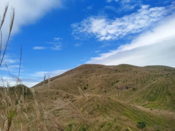 【夜登大南山1天1夜】悠然见南山,徒步穿越广东迷人高山草甸,行走于云端天际间,勇敢者的打卡胜地。(3星)