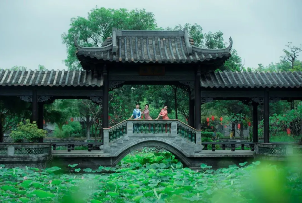 【东莞荷花】桥头荷花盛开，文艺西溪古村-