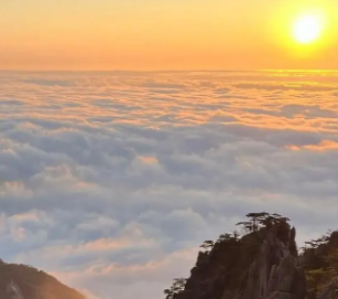 【2026五一】大美黄山 千岛湖 景德镇高铁5天