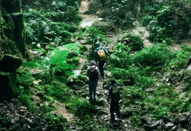 遇见山海【千泷沟穿越1天】徒步穿越千泷沟大瀑布，行摄万亩竹海