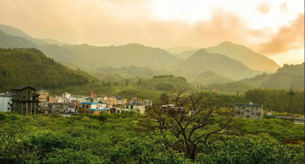 遇见山海【从化星溪徒步】徒步穿越十里竹海 感受最美乡村小径