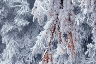 遇见山海，【徒步衡山2天】南岳衡山赏雾淞冰雪奇观，登祝融峰顶祈福许愿2天活动-