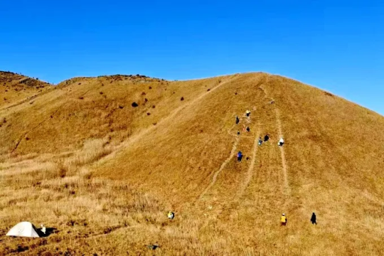 【夜徒郴州瑶峰】郴州徒步天花板！高山草甸、大草原~云海之上的绝美日出