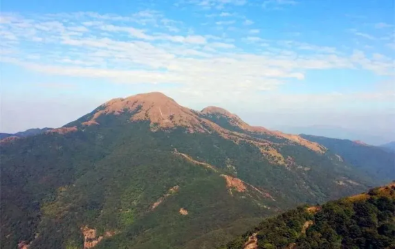 【惠阳白云嶂+东莞银屏嘴】赏满山金黄芒草，挑战千米高峰，登高望远！
