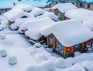 不含往返大交通 哈尔滨集合 【魅力东北】畅游冰城哈尔滨、雪谷-雪乡穿越、长白山温泉、吉林滑雪、赏雾凇7天游！