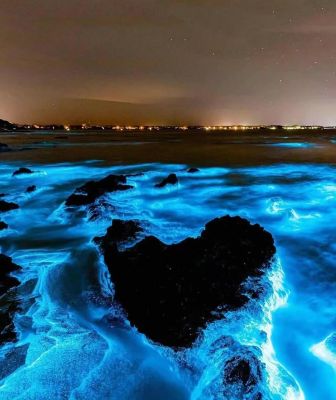 【探寻“蓝眼泪”高铁往返三日】每周五出发：东方圣托里尼，神秘“蓝眼泪”，蓝天白云碧海，石厝风车落日，你对海的想象，福建平潭岛都给你-