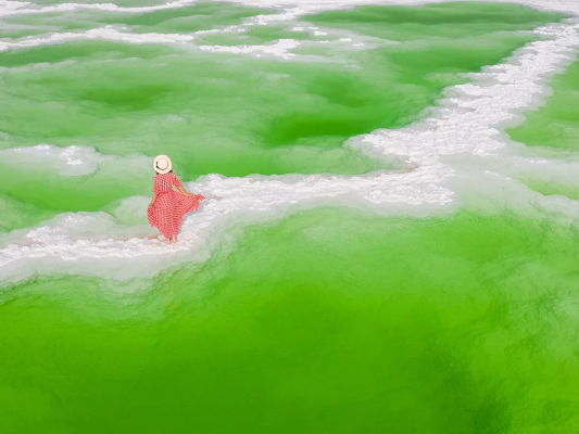 野在青海 | 精华深度 5天4晚｜2026探索苍茫大西北，报名即送单人青海湖漫步vlog+航拍，制霸朋友圈