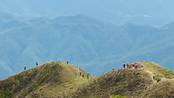 【高山杜鹃·天露山】天露山万亩高山杜鹃惊艳绽放!一起欣赏漫山遍野红杜鹃花!