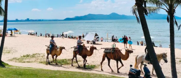 【潮汕+汕尾金町湾3日游】潮州古城寻小吃，南澳岛环岛游，汕尾金町湾玩水，天空之城拍照