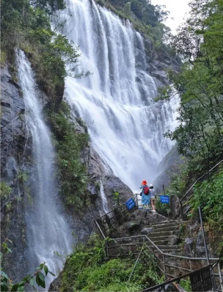 【徒步千泷沟】打卡亚洲最宽瀑布，漫步万亩竹林秘境