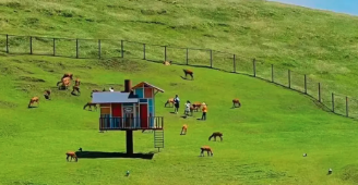 【汽车·郴州3天】美拍仰天湖,徒步碧水丹霞高椅岭、雾漫小东江、夜游裕后街-