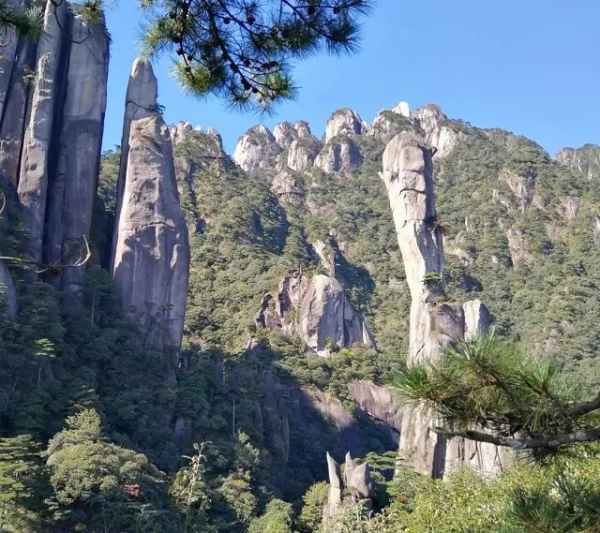 【三清山妇女免门票】中国道教仙山三清山+婺源春色