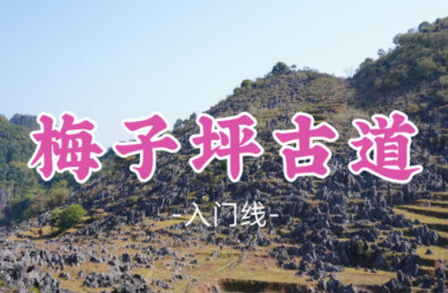 【梅子坪古道9公里】