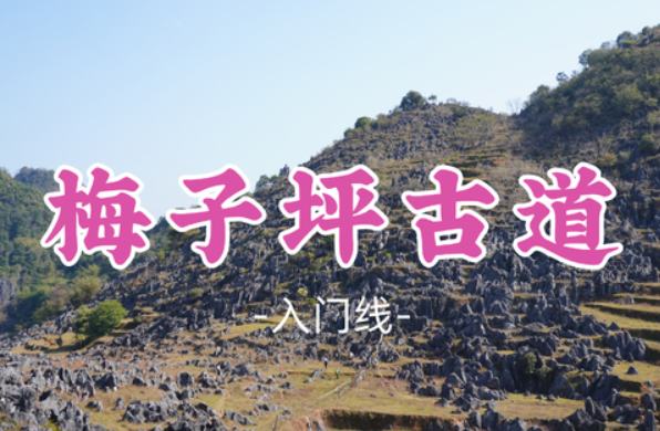 【梅子坪古道9公里】