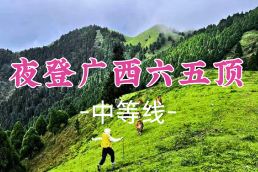 即将成团!英仙座流星雨!周六8.8晚-8.9【特种兵之夜登广西六五顶9公里】: 小红书火爆出圈“那拉提”高山草原