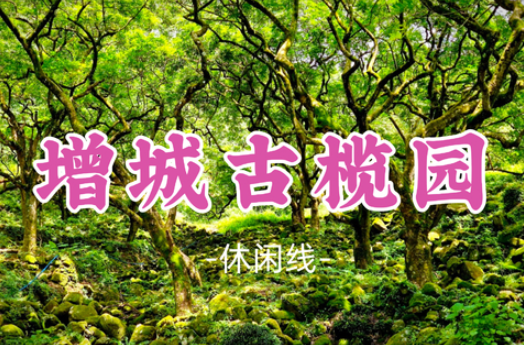 【增城古榄园7.5公里】探秘魔幻森林，品非遗美食