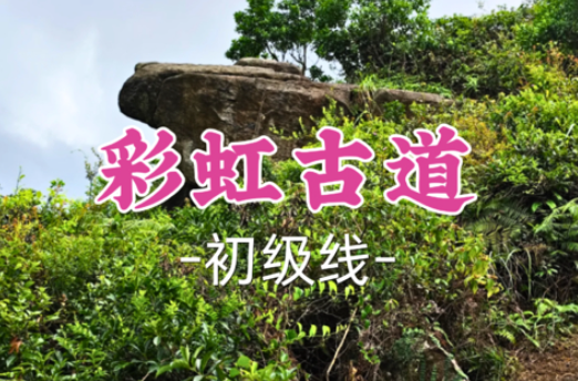 已成团!【彩虹古道11公里】江门彩虹古道徒步,品尝龙口牛肉 复制链接 分