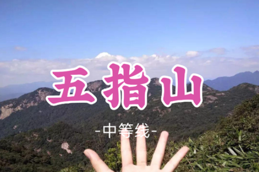 已成团！【五指山14公里】登五指山望远 穿越丛林探幽谷
